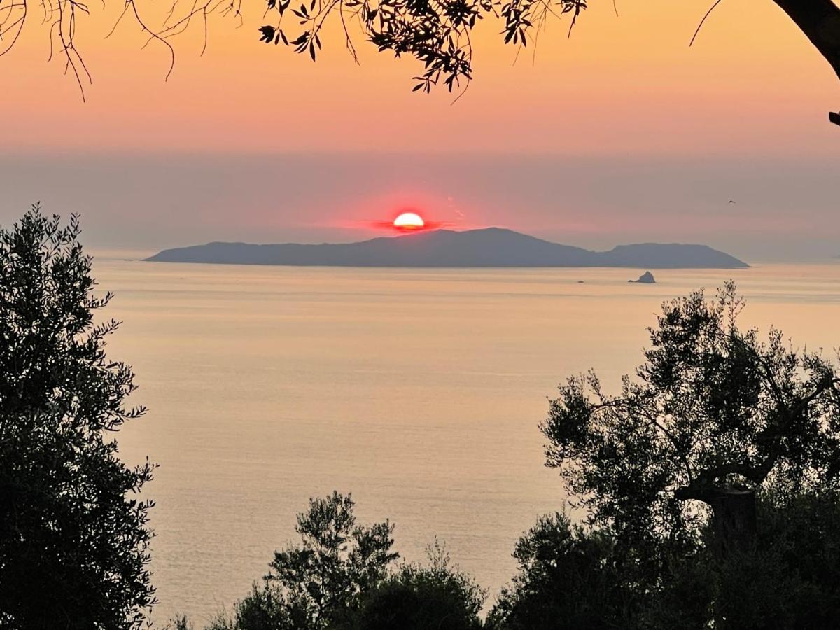 Arillas Hillside Villa 3 - Provence Buitenkant foto